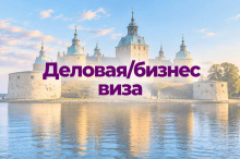 Деловая/бизнес виза в Швецию